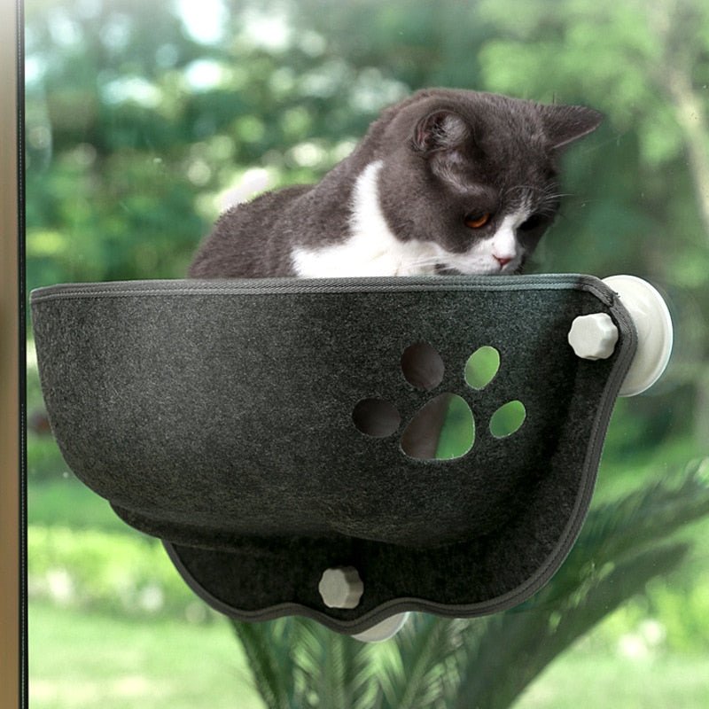 window bed made for cat in black color and a cute paw design