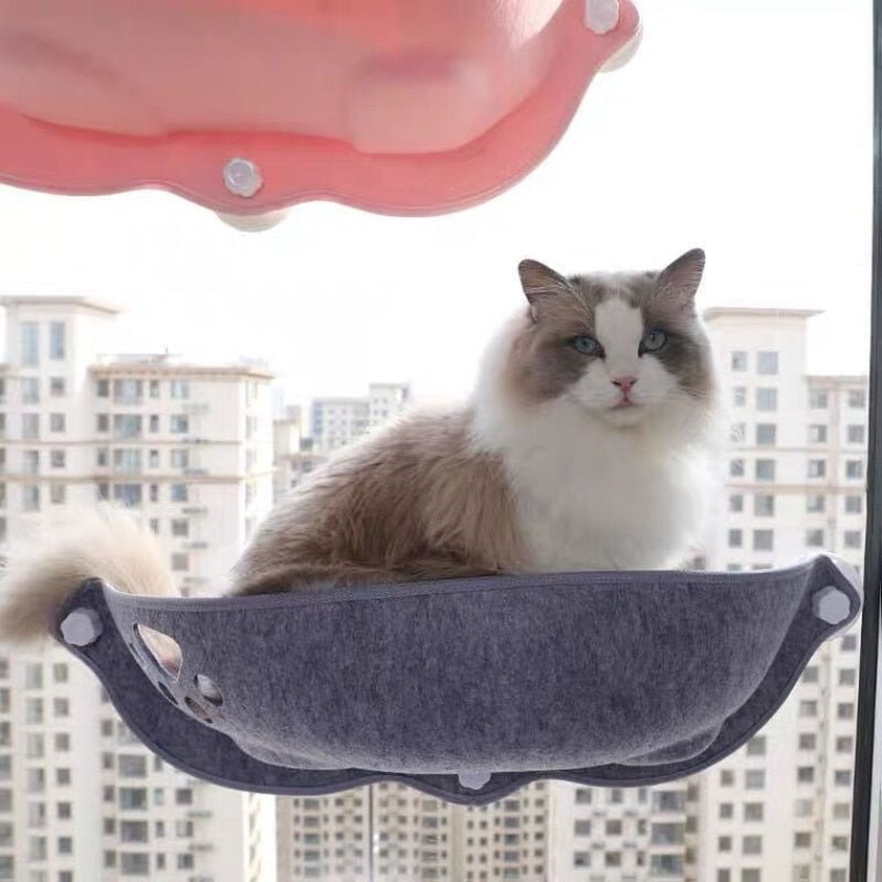 Soft Hammock cat bed for window with paw