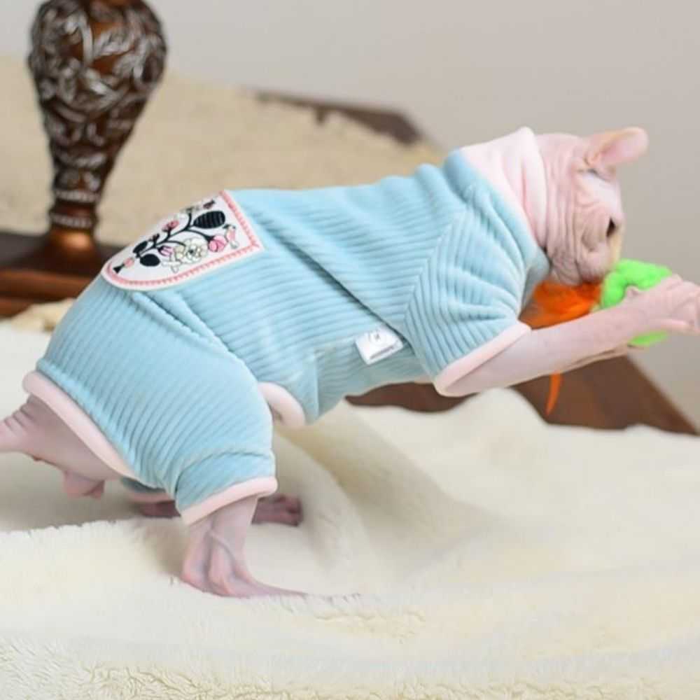 s cute cat clothes for cats in baby blue color