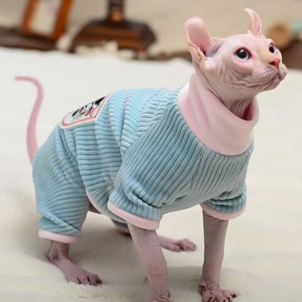 a cozy sweater for cat in blue color