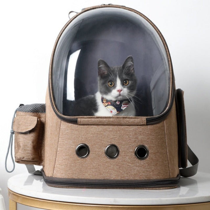 Cat Backpacks & Travel Accessories Make Your Cat Journey In Style