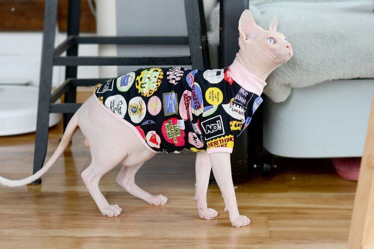 a fashionable streetwear of cat's clothes