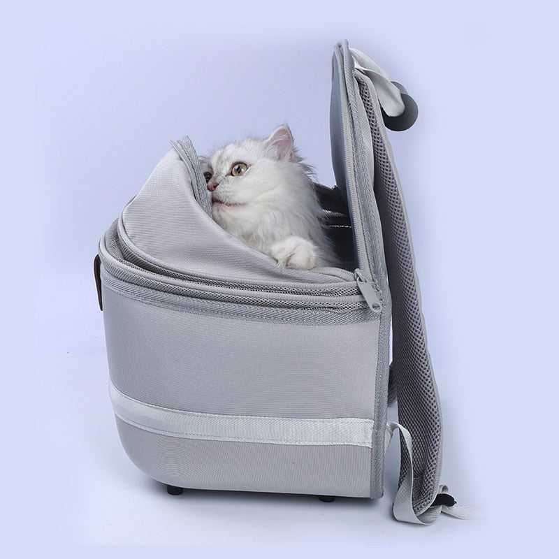 easy carry foldable cat carrier with stylish design