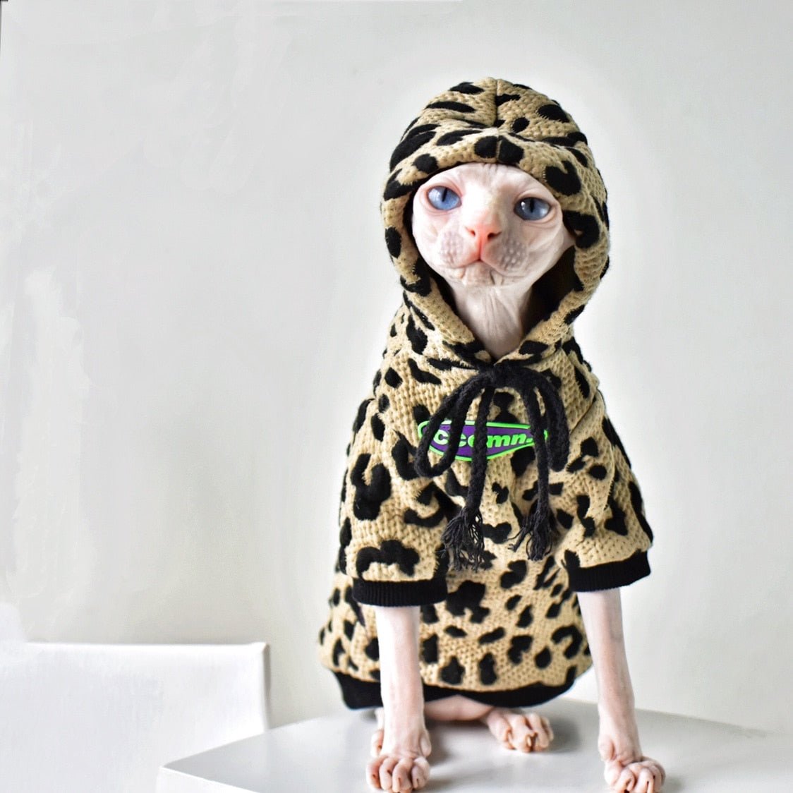 Swaggy streetwear cute cat hoodie