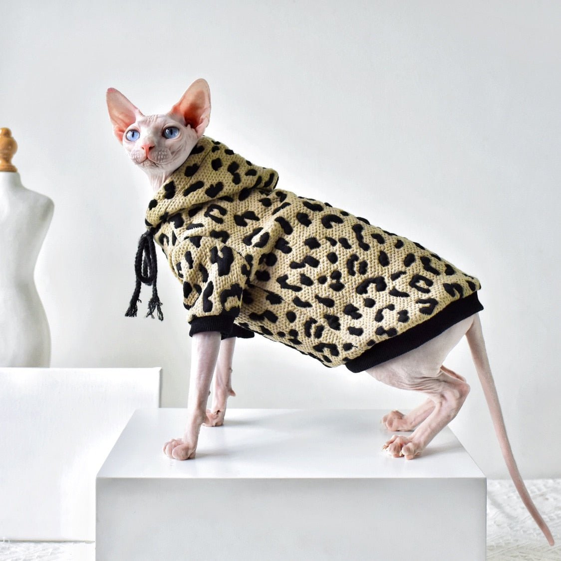 a clothing for sphynx cats with leopard print