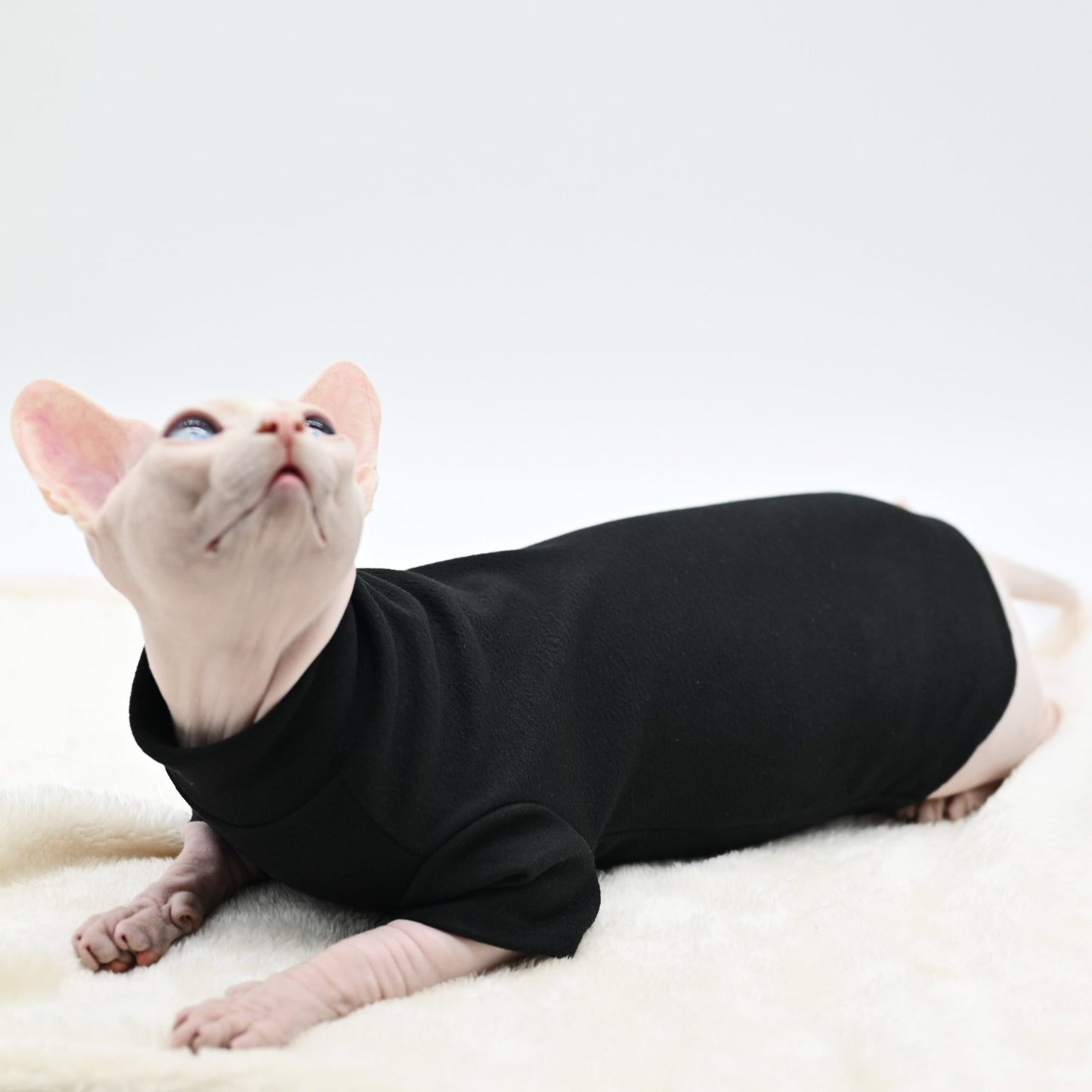 a black color cat clothes for cats