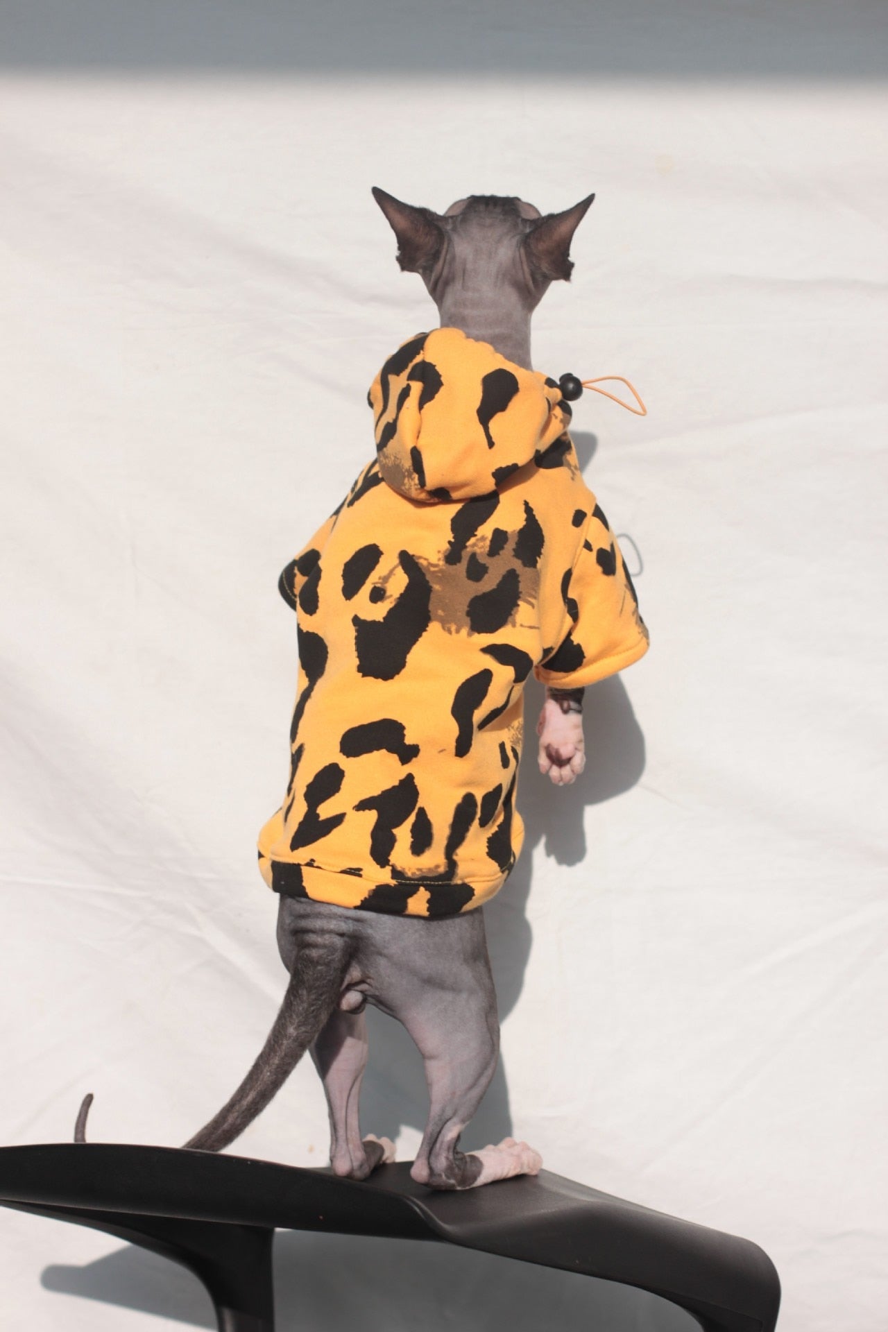 a fashionable cat clothing with leopard print