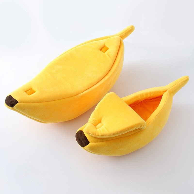 small and medium sized cat ebd in yellow banana color that looks adorable