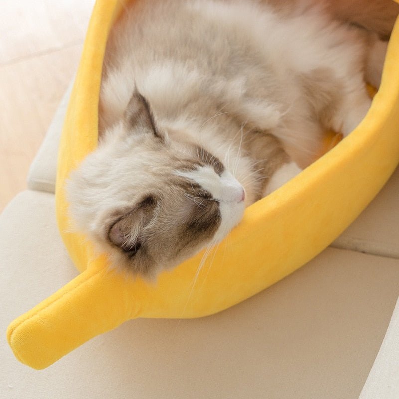 The banana funny cat bed Meowgicians