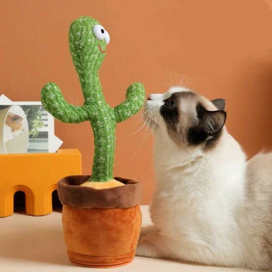 A cat Playing with a Green Dancing Cactus Toy that speaks and mimics with LED lights