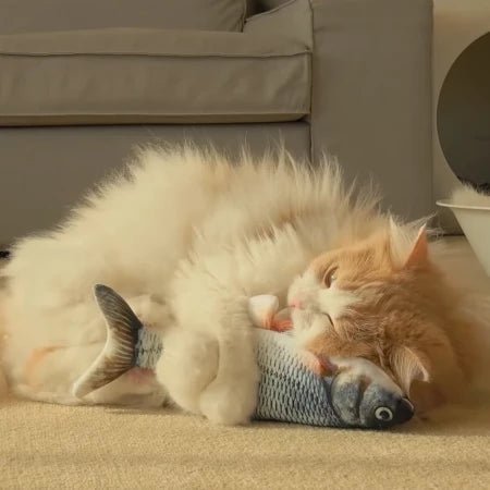 The Floppy Fish Toy Meowgicians The Floppy Fish Toy Meowgicians