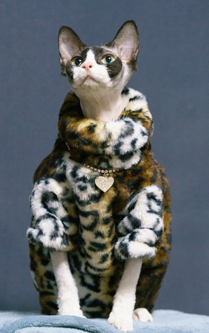 The Meow Boss' Luxury design cat jacket