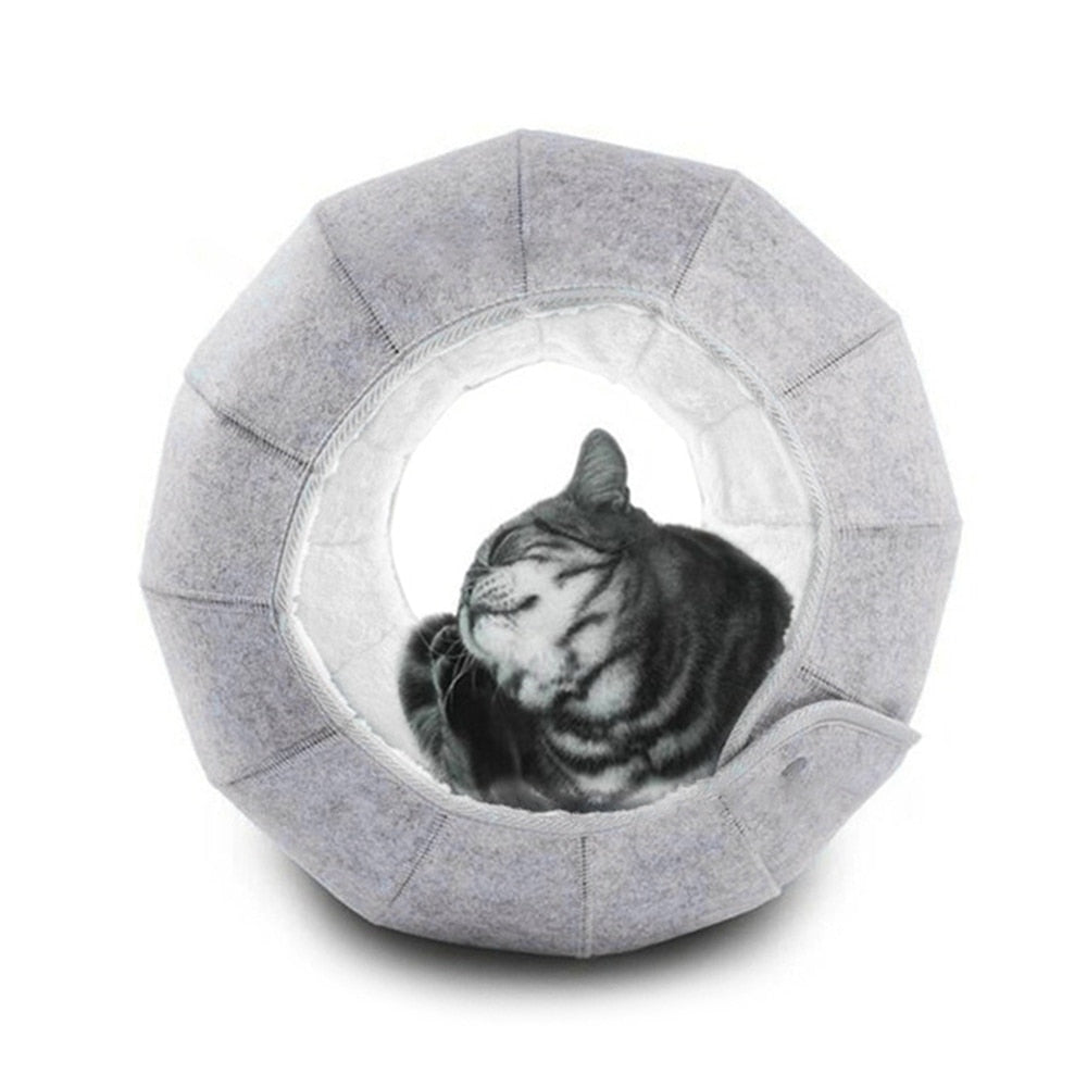 The shell cozy cat bed