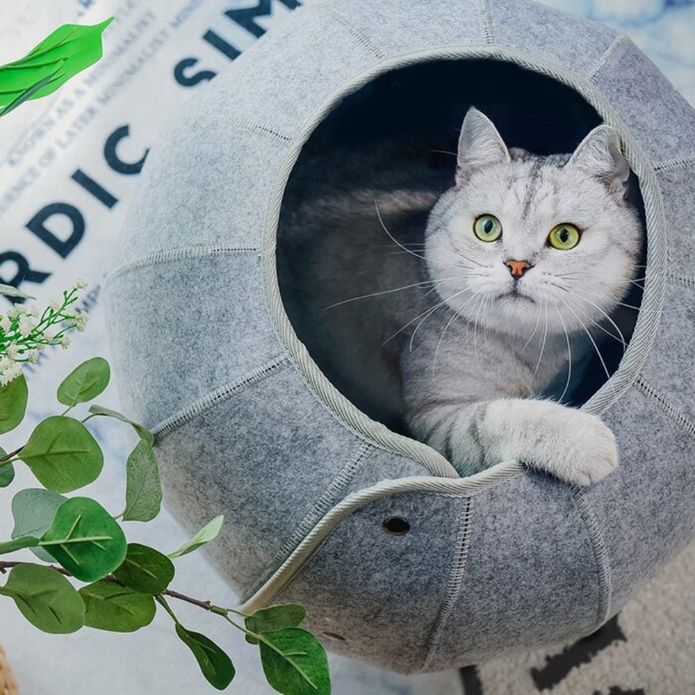 The shell cozy cat bed – Meowgicians™