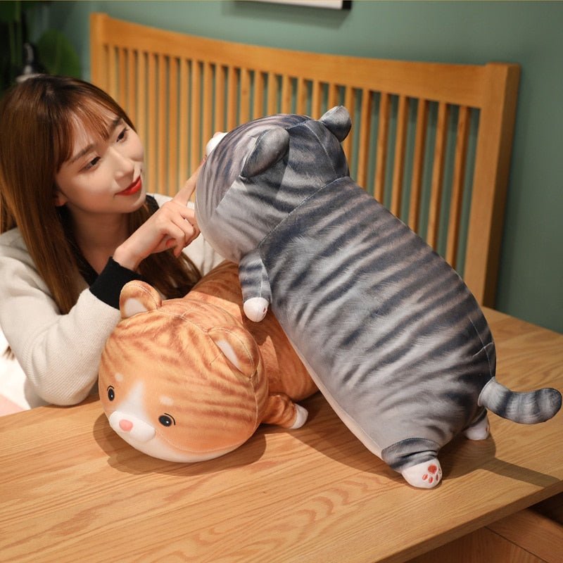 cute kawaii plush of tabby cat