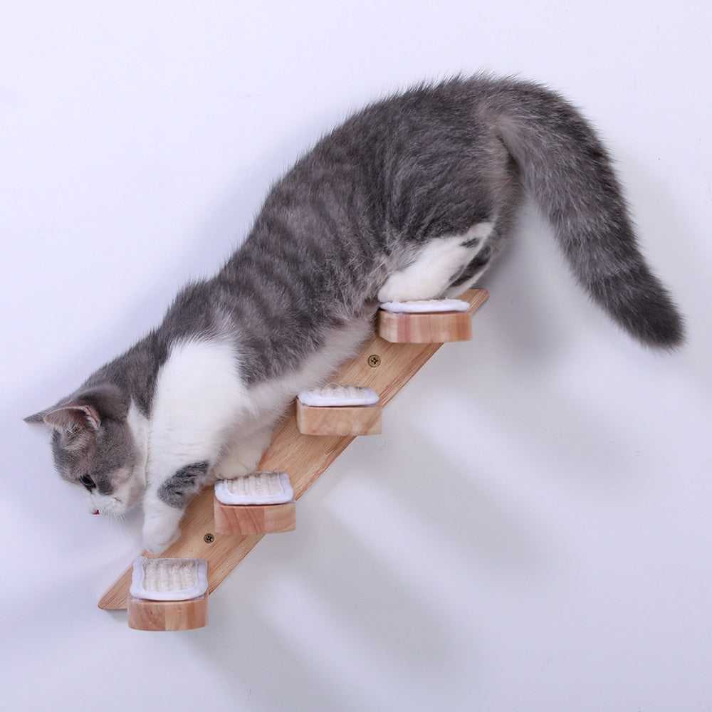 The Cat's Miaow Climb My Stairs レコード The Cat's Miaow Climb My Stairs レコード The Cat's Miaow