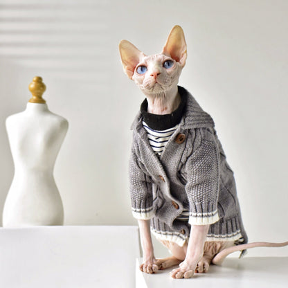 a sphynx cat wearing a designer cat clothes