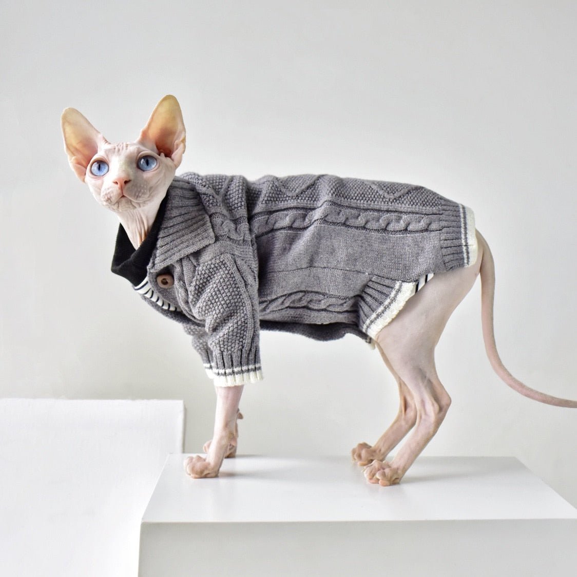 a cat knit clothes that is trendy