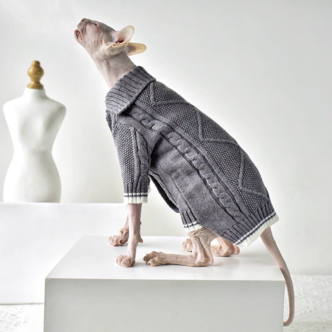 a stylish cat knitted sweater in grey color