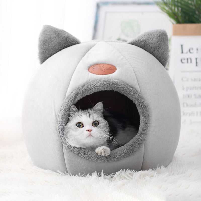 cat in a cute little cat house that is made from fleece to keep them warm in the winter