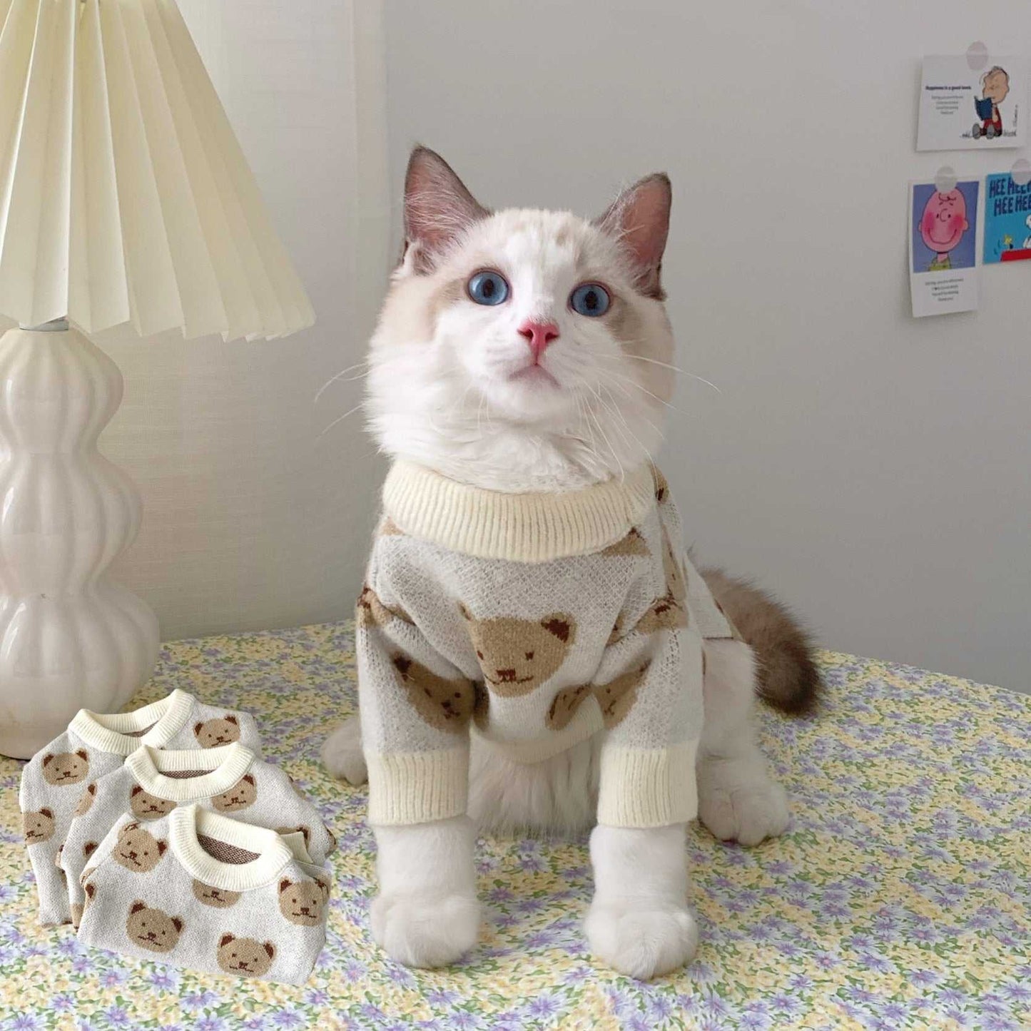 a cute cat knit sweater with bear design