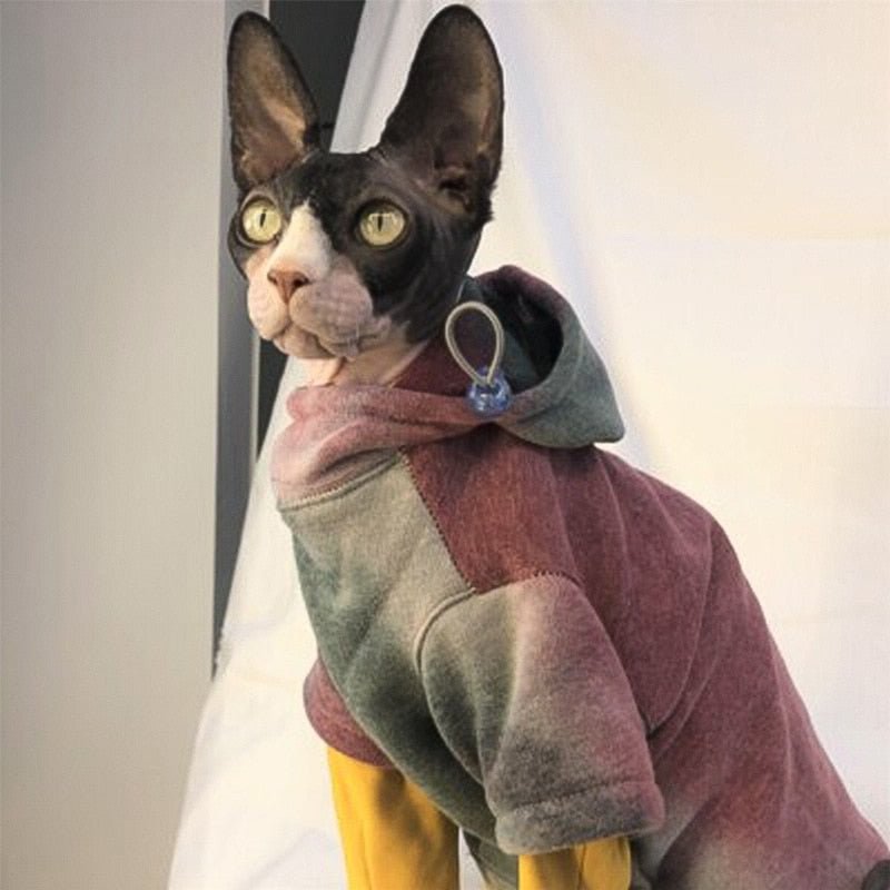 Water color pattern hoodie for cats