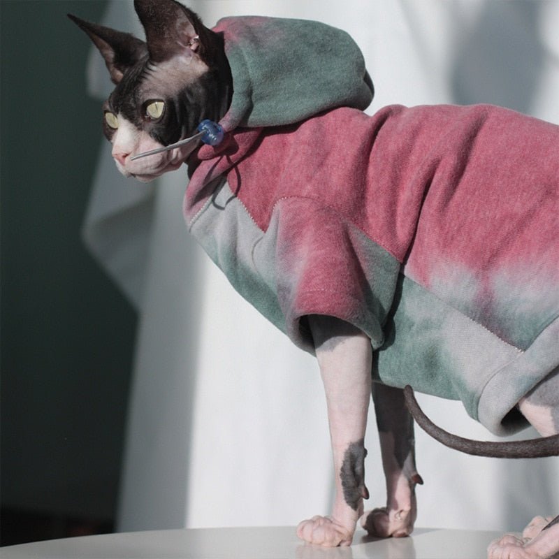 a minimalist cat clothes for cats