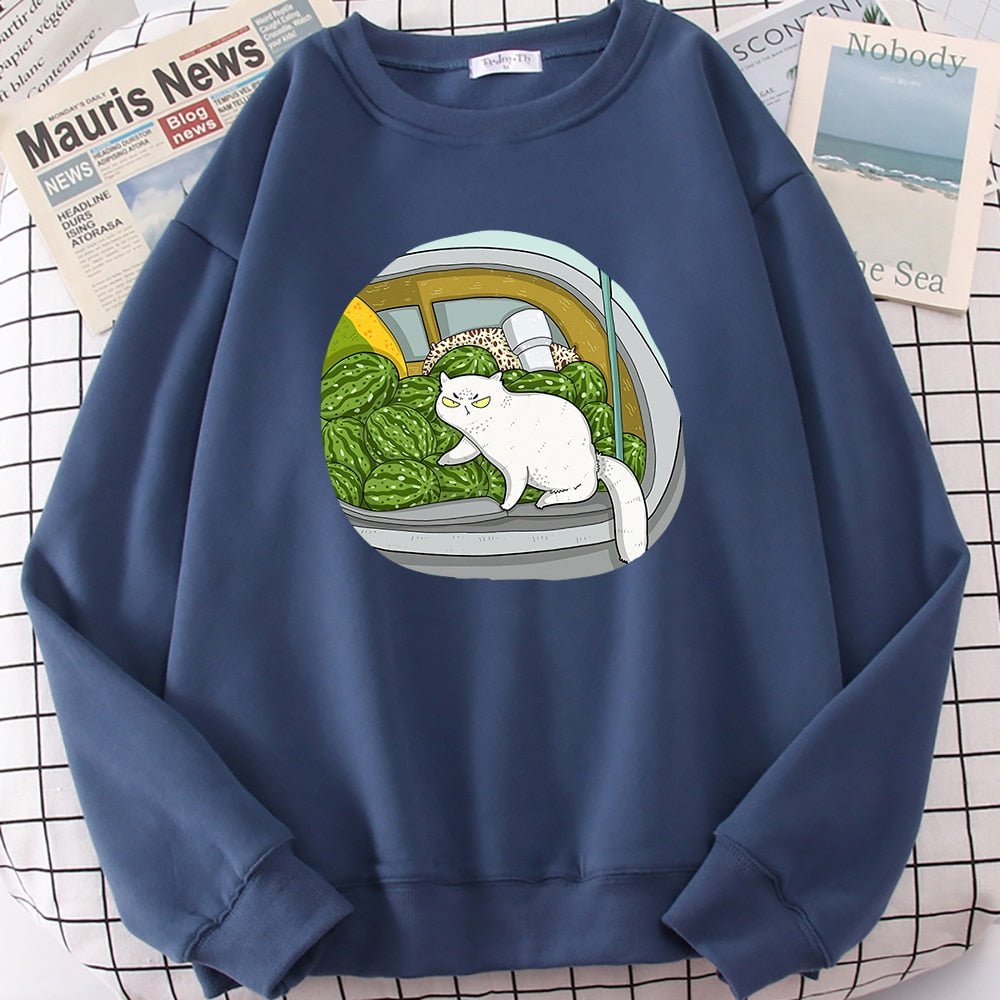 a blue cat pattern sweater with picture of cat and watermelons