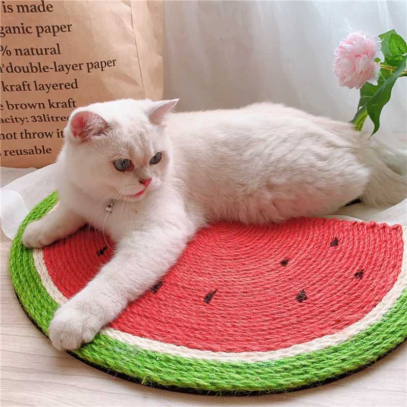 Watermelon Cat Kitten Scratcher Board